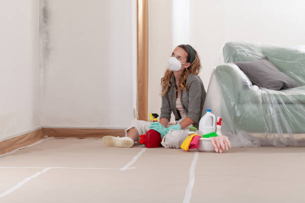 Reliable Mold Remediation contractor in New Egypt, NJ by WQB Mold Removal